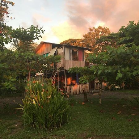 Miguel Surf Camp Otel Quepos Dış mekan fotoğraf