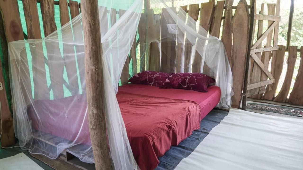 Miguel Surf Camp Otel Quepos Dış mekan fotoğraf