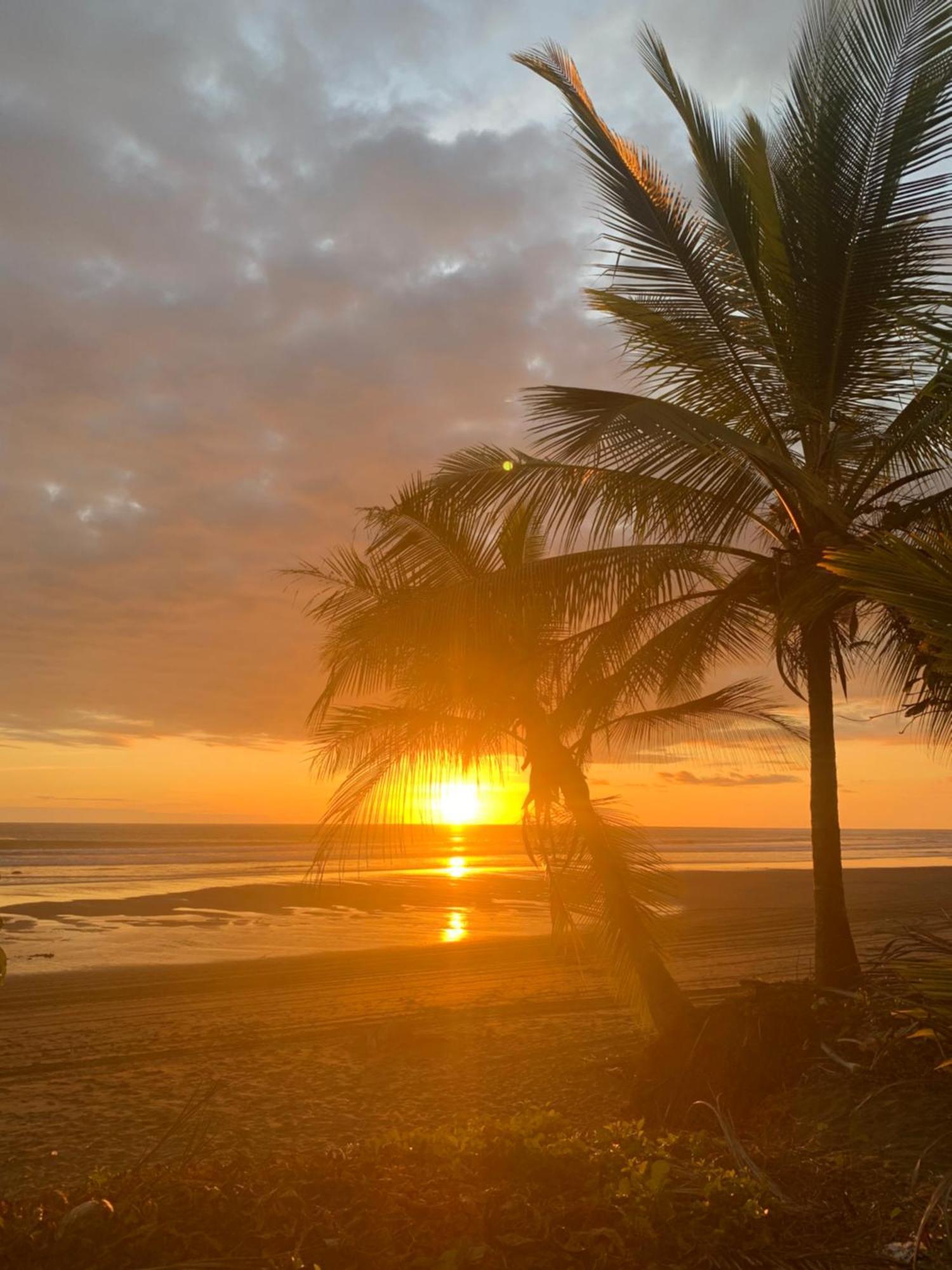 Miguel Surf Camp Otel Quepos Dış mekan fotoğraf