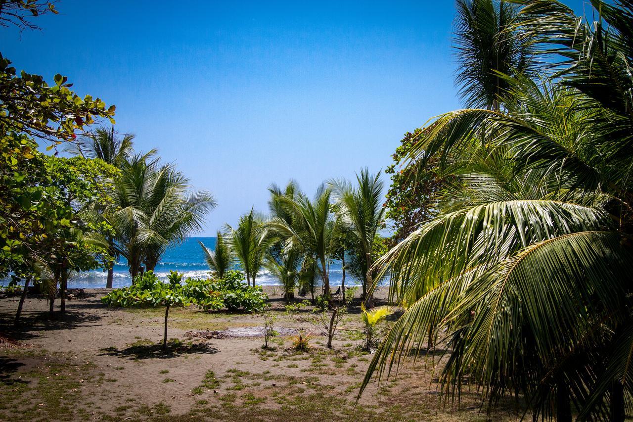 Miguel Surf Camp Otel Quepos Dış mekan fotoğraf