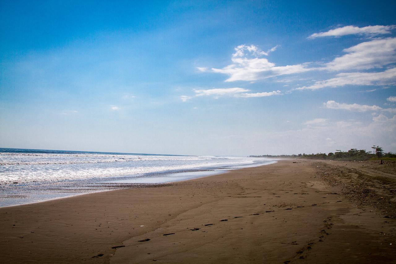 Miguel Surf Camp Otel Quepos Dış mekan fotoğraf